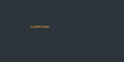 LinkBridge logo